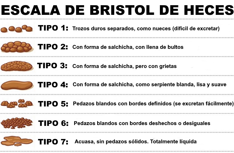 Escala de Bristol