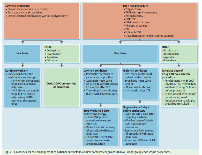 Endoscopy in patients on antiplatelet or anticoagulant therapy, including direct oral anticoagulants: British Society of Gastroenterology (BSG) and European Society of Gastrointestinal Endoscopy (ESGE) guidelines