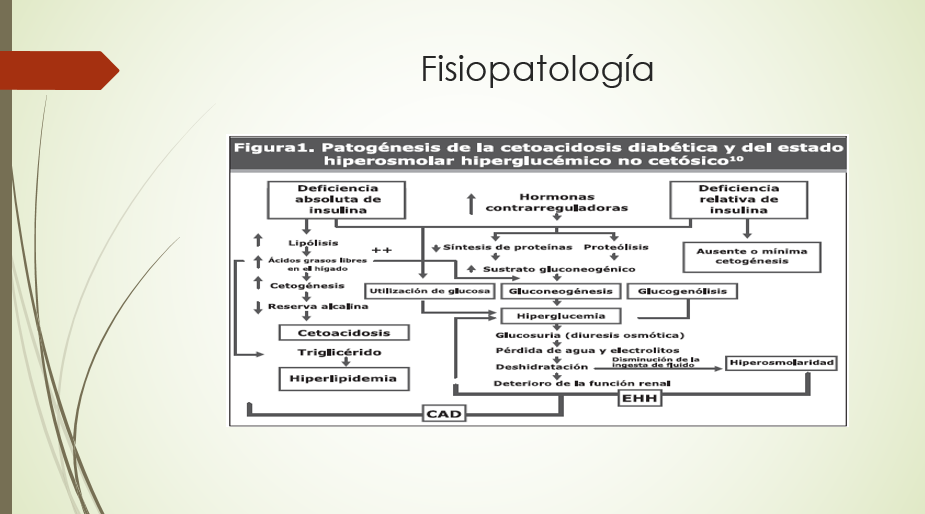 Fisiopatología de la Cetoacidosis (2)