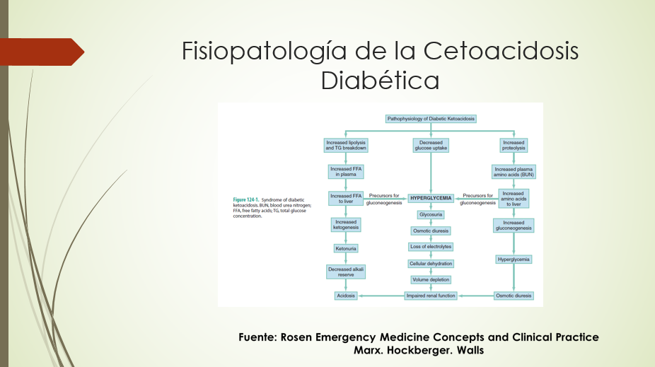 Fisiopatología de la Cetoacidosis (3)