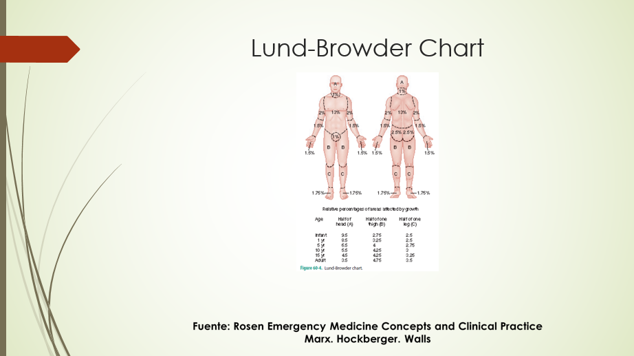 Lund-Browder Chart
