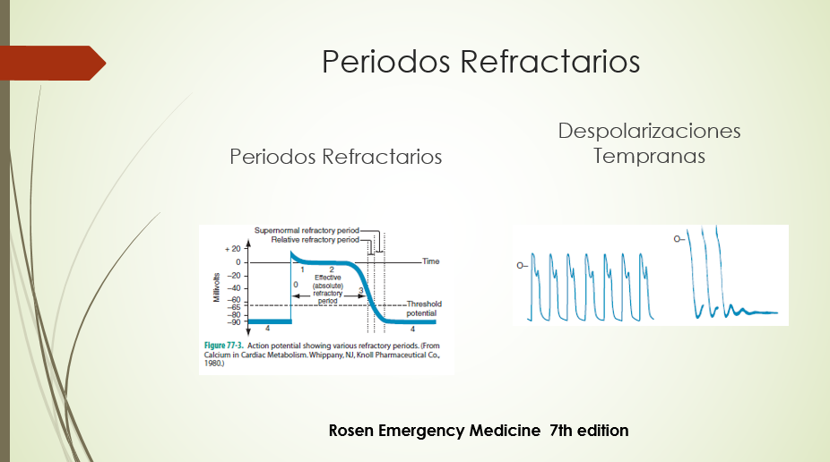 Periodos Refractarios (4)