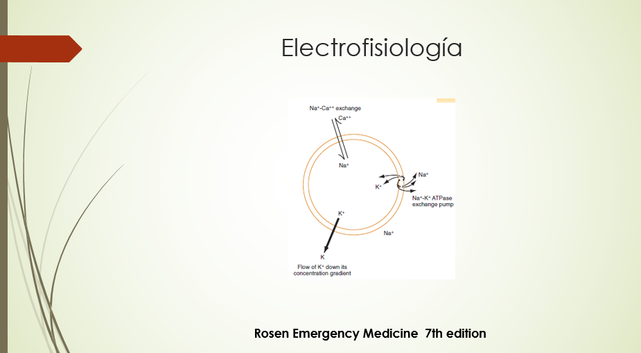 Principios de Electrofisiología (1)