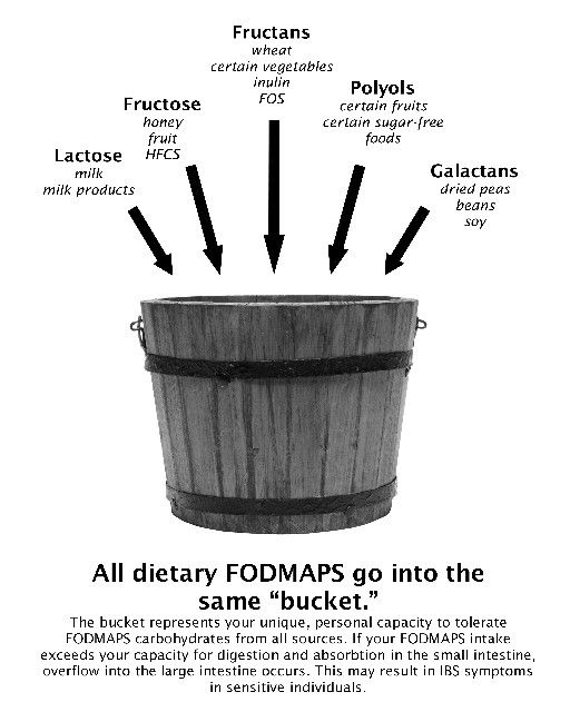 Dieta FODMAP
