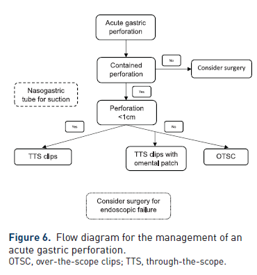 Manejo de la Perforación Aguda