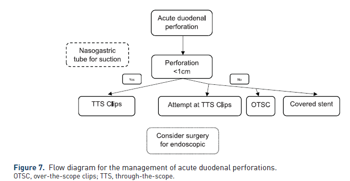 Manejo de la Perforación Aguda
