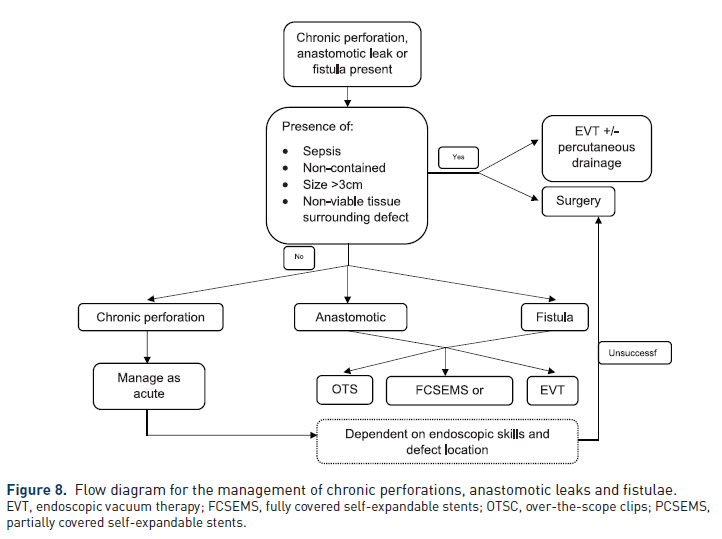 Manejo de la Perforación Crónica