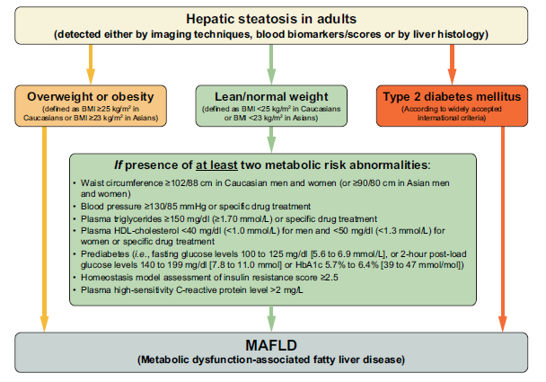Criterios Diagnósticos para Esteatosis Metabólica