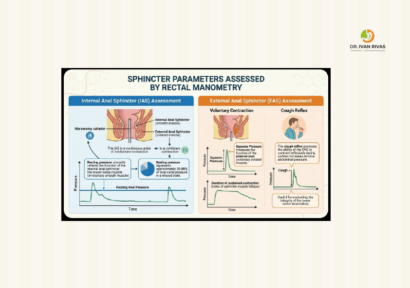 Función esfinteriana y manometría rectal