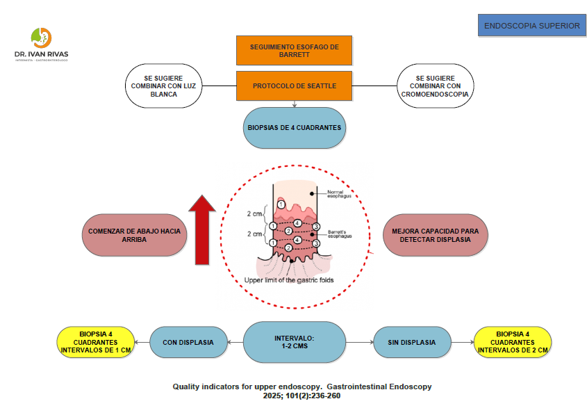 Biopsia en Sospecha de Barrett