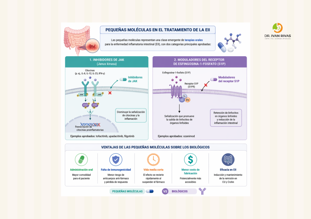 Pequeñas moléculas en el tratamiento de la enfermedad inflamatoria