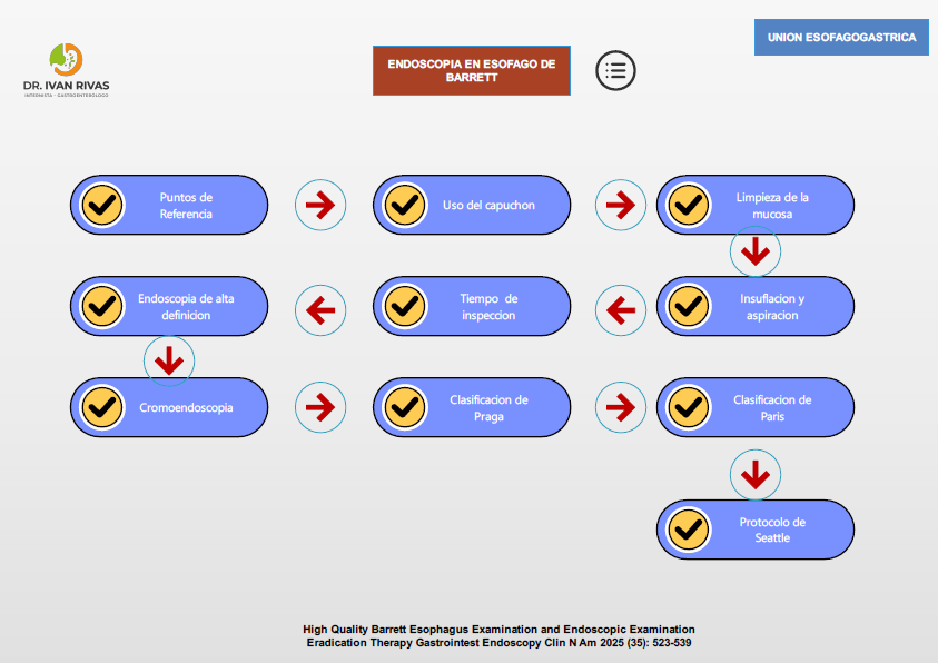 Endoscopia en Barrett