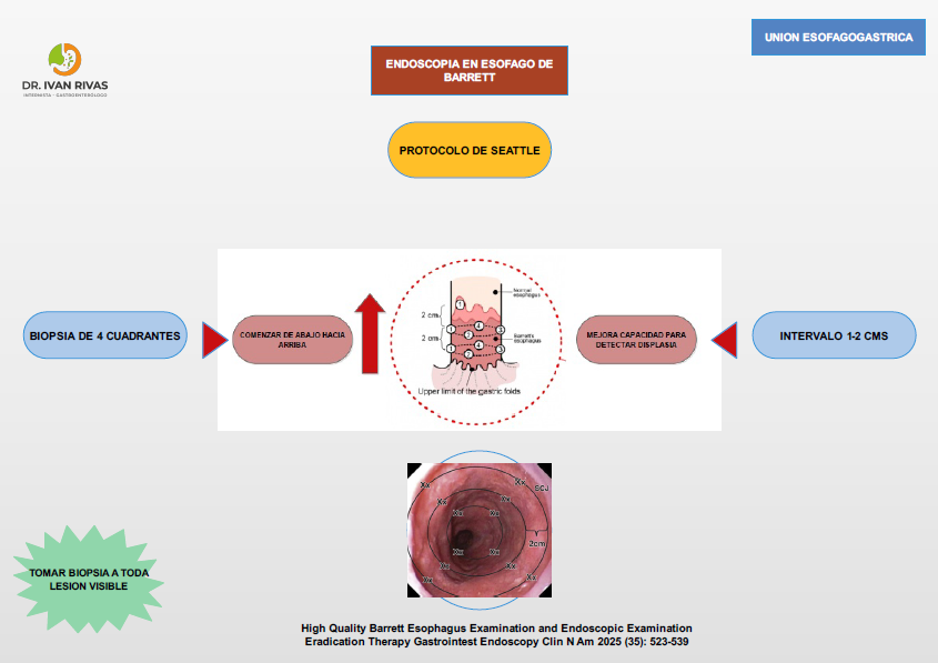 Protocolo de Seattle