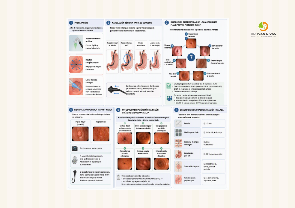 Protocolo de exploración endoscópica duodenal