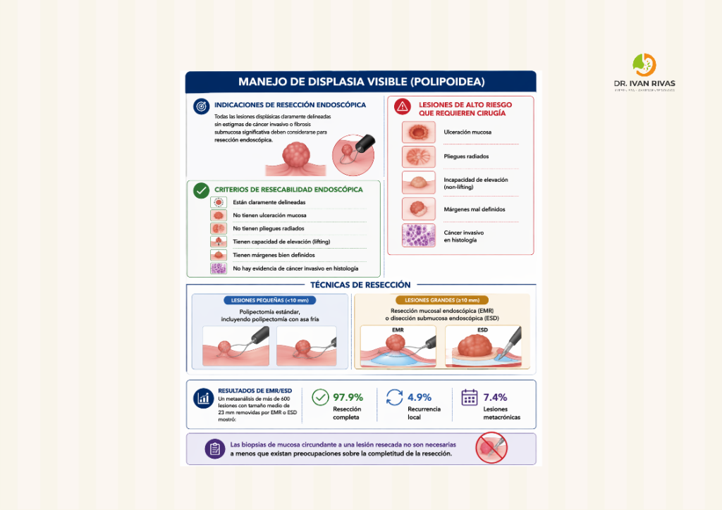 Manejo de displasia visible en enfermedad inflamatoria intestinal
