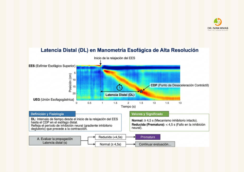 Concepto de latencia distal