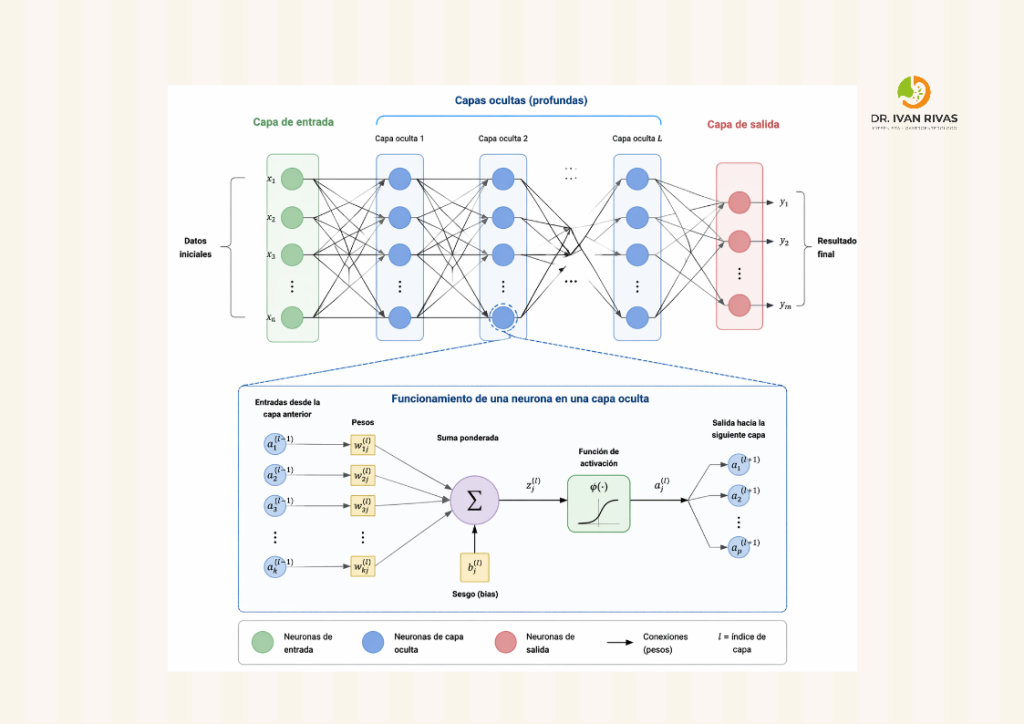 Deep learning 