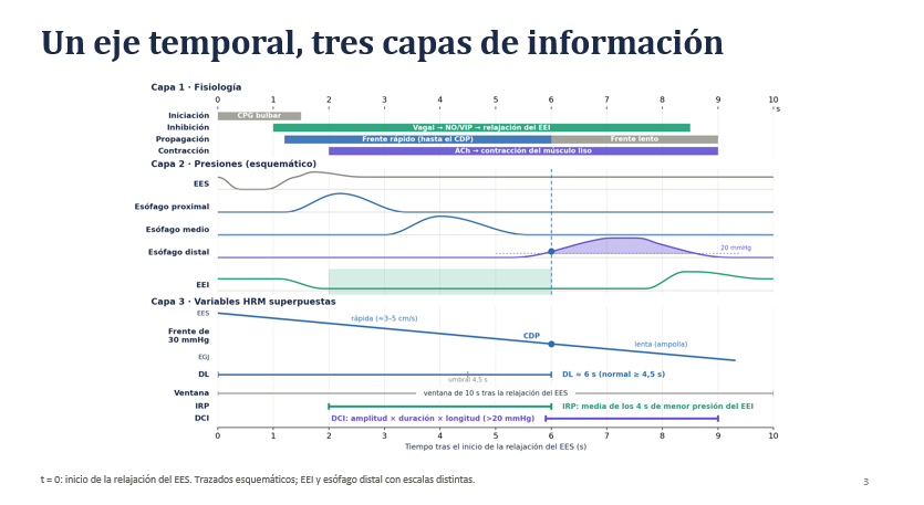 Fisiología, presiones y variables de la manometría de alta definición