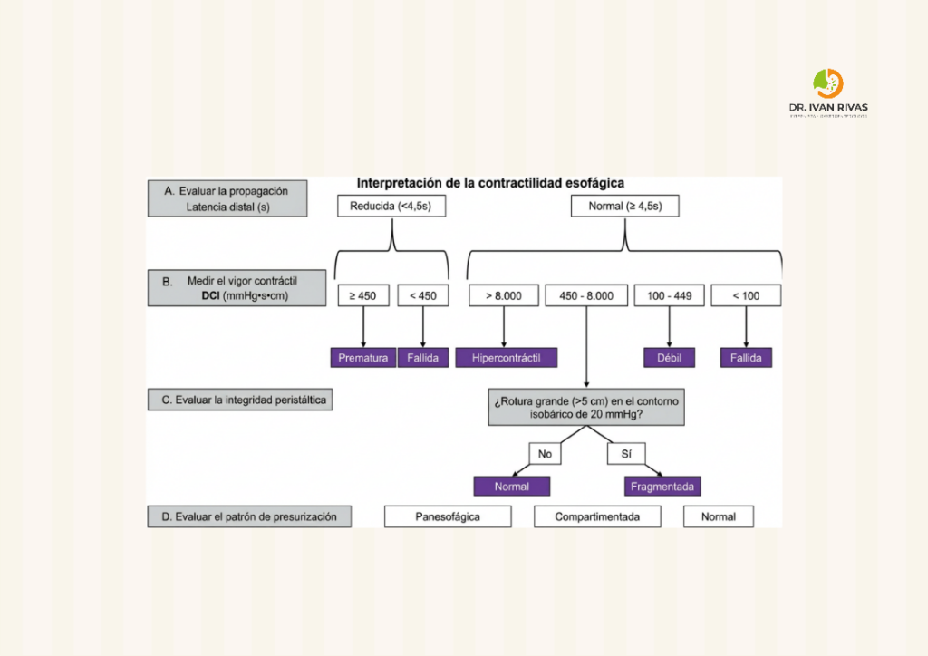 Interpretación de la contractilidad esofágica por manometría