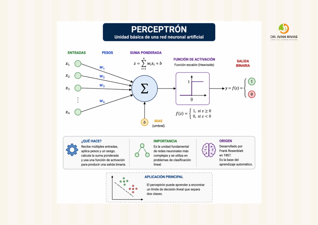 Perceptron