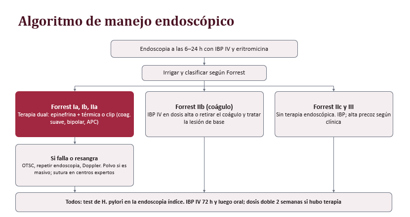 Algoritmo de manejo endoscópico de acuerdo a riesgo de resangrado